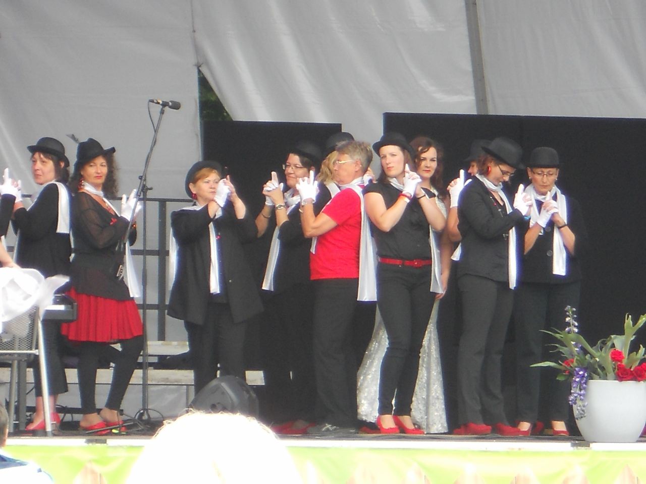 29.06.2014: Singen auf der Landesgartenschau